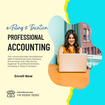 Tally Prime Professional